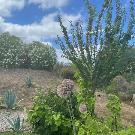 Le Clos Des Milans Bed & Breakfast