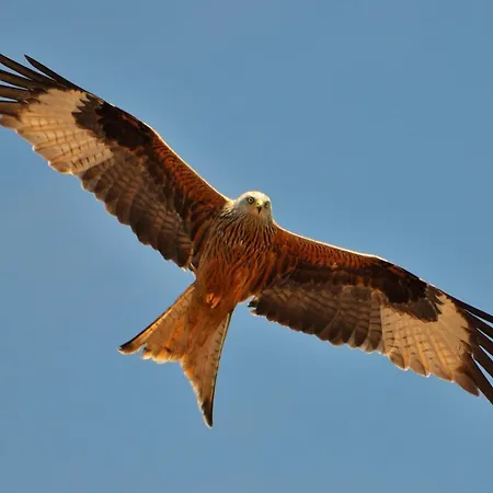 Le Clos Des Milans 3* Rapale