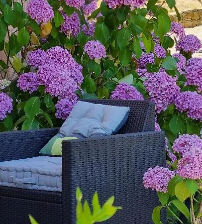 Le Clos Des Milans Bed & Breakfast