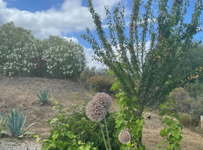 Le Clos Des Milans Bed & Breakfast