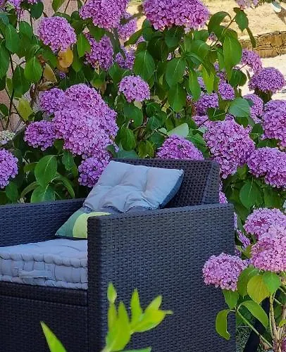 Le Clos Des Milans Bed & Breakfast